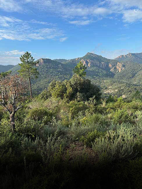 Trekking Esterel